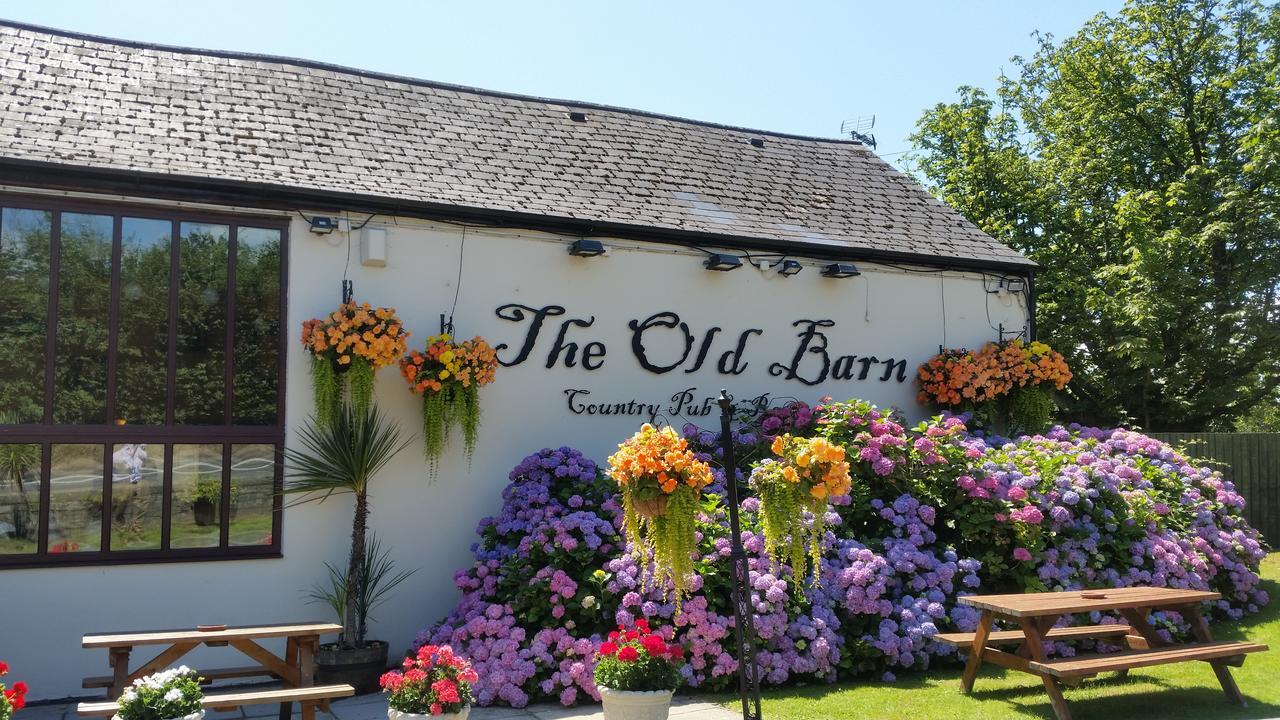 The Old Barn Inn Newport  Exteriör bild